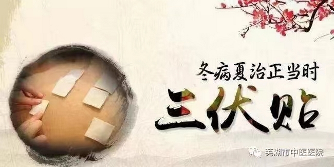 蕪湖市中醫(yī)醫(yī)院三伏貼來啦！冬病夏治的法寶(圖1)