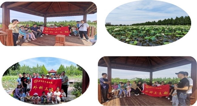 重溫紅色歷史  砥礪初心前行 ——外科三支部、醫(yī)技一支部聯(lián)合開展主題黨日活動(圖2)