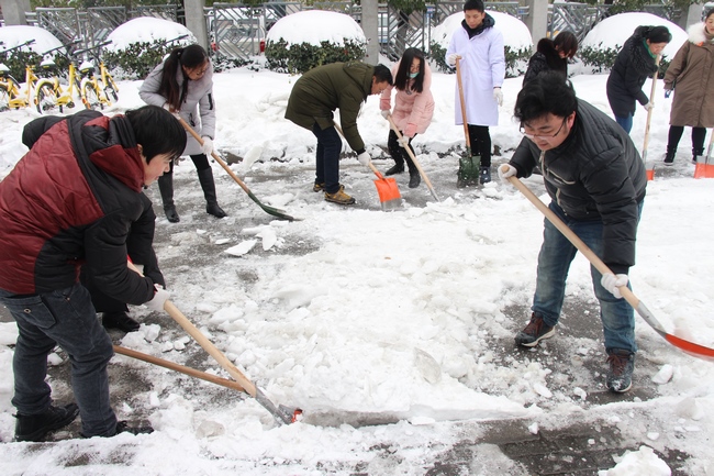 方便市民出行 我院黨員干部職工上路鏟雪(圖16)