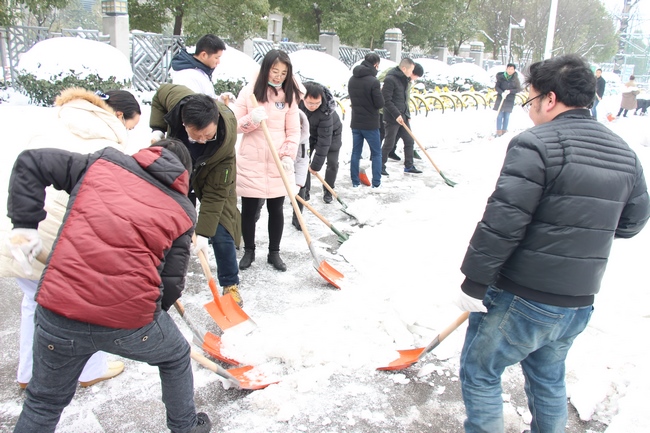 方便市民出行 我院黨員干部職工上路鏟雪(圖19)