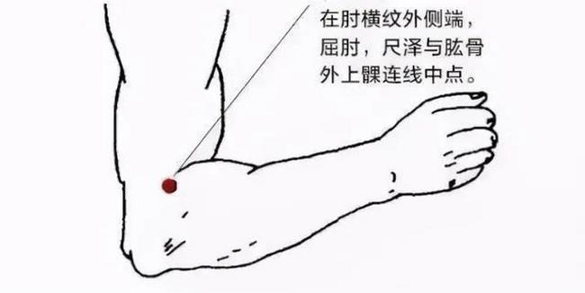圖片4 (復制).jpg